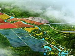 鄭州市工信局：積極構(gòu)建管城區(qū)、經(jīng)開區(qū)、中牟縣“兩區(qū)一縣”氫燃料電池汽車